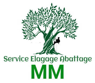 Service Elagage Abattage MM 